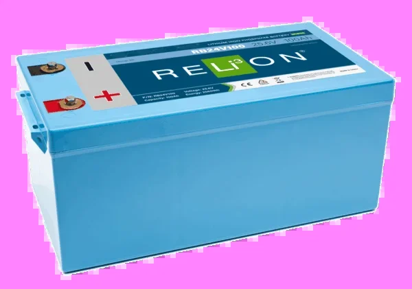 Relion Battery RB24V100 Battery